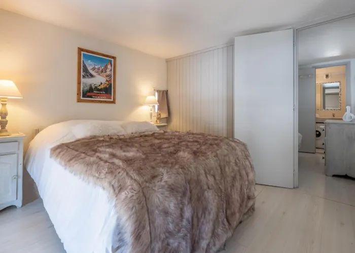 Beautiful Near The Grands Montets Slopes Chamonix